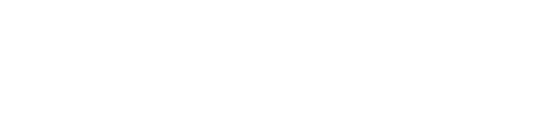 Novum Logo